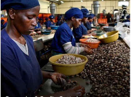 Processing & Quality Control