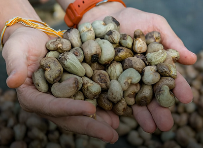 Sourcing & Procurement